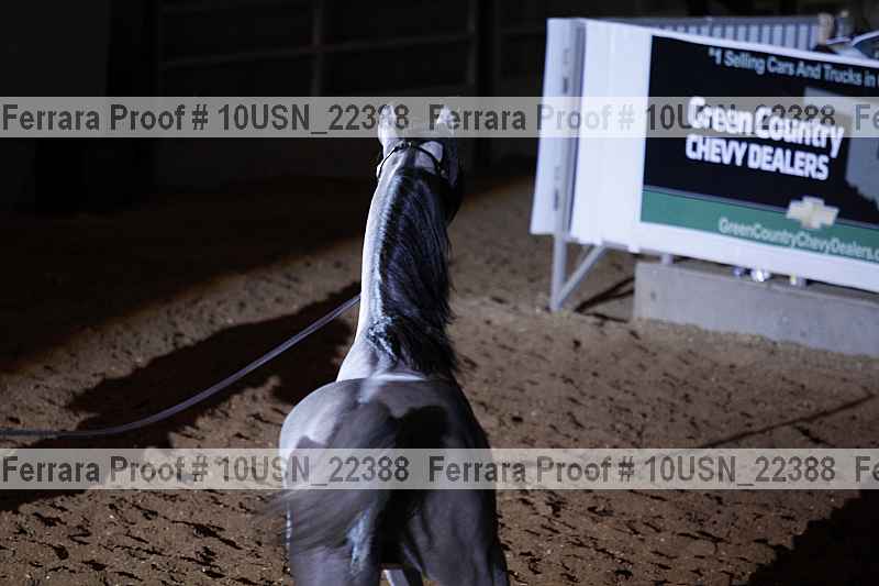 Proof 10usn_22388