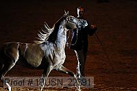 10usn_22391 proof