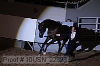 10usn_22393 proof