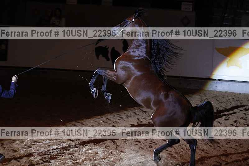 Proof 10usn_22396