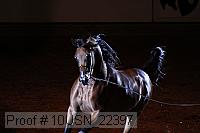 10usn_22397 proof