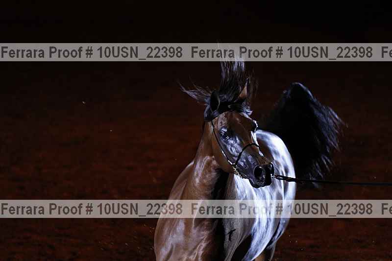Proof 10usn_22398