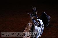 10usn_22398 proof