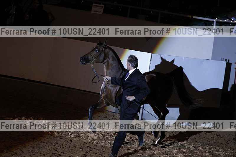 Proof 10usn_22401