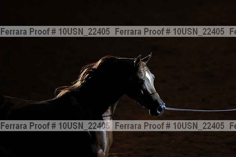 Proof 10usn_22405