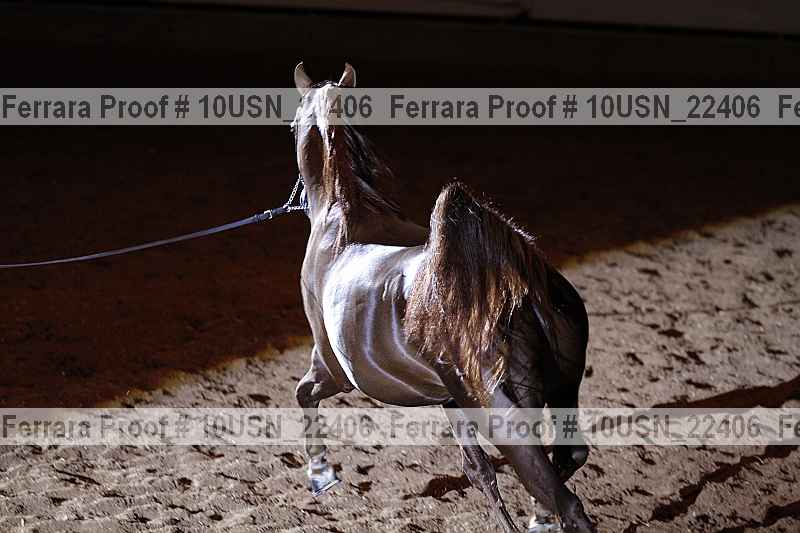 Proof 10usn_22406