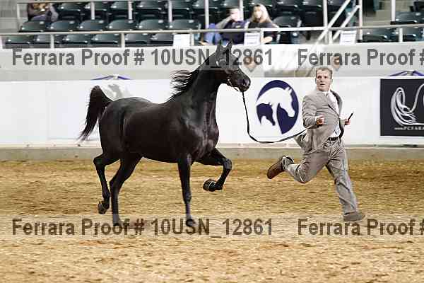 Proof 10usn_12861