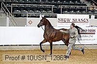 10usn_12863 proof