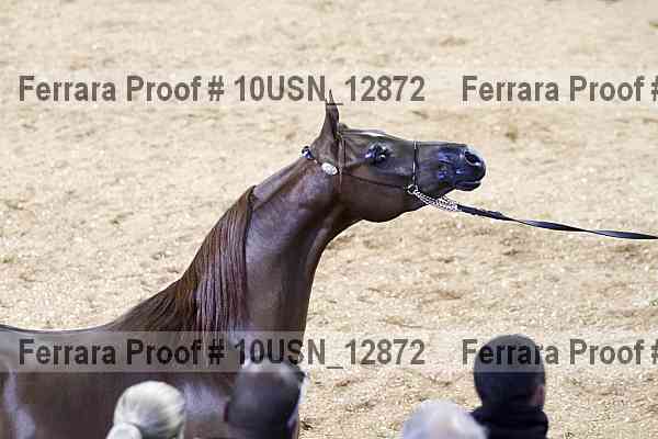 Proof 10usn_12872