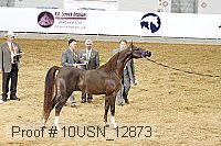 10usn_12873 proof