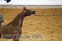 10usn_12875 proof