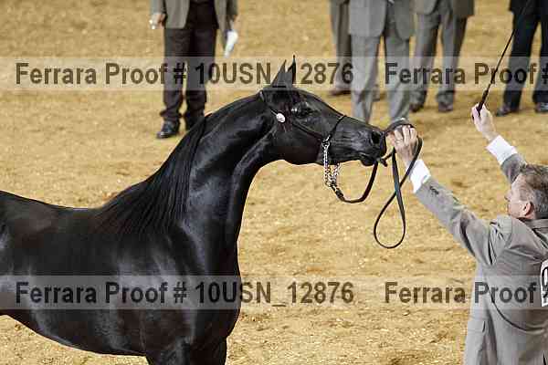 Proof 10usn_12876
