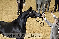 10usn_12876 proof