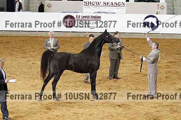 Proof 10usn_12877