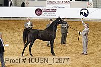 10usn_12877 proof
