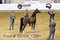 10usn_12881 proof