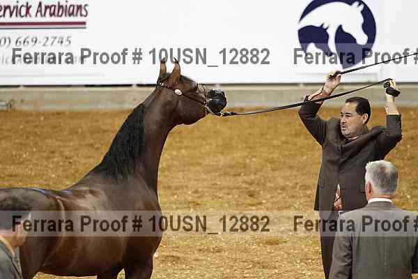 Proof 10usn_12882