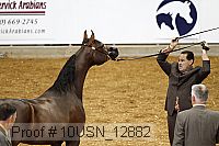 10usn_12882 proof