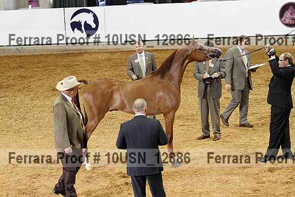 Proof 10usn_12886