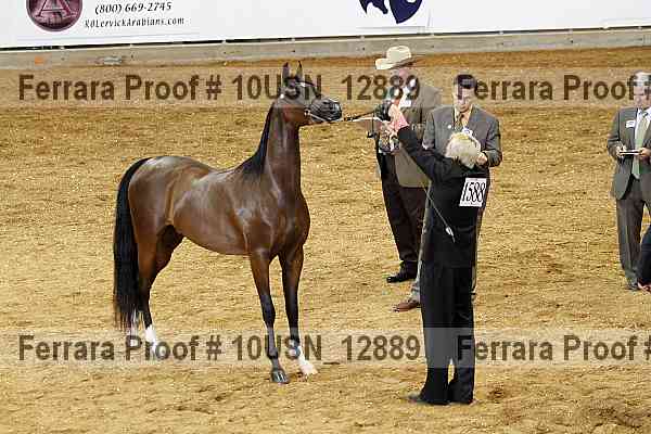 Proof 10usn_12889