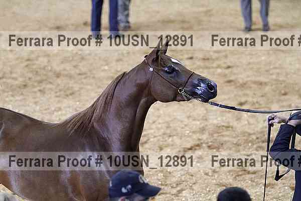Proof 10usn_12891