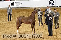10usn_12892 proof