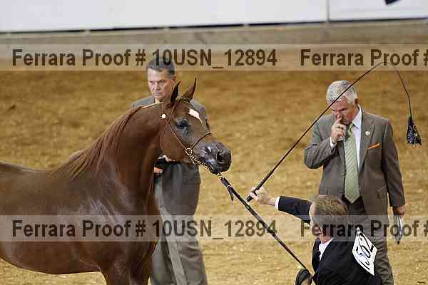 Proof 10usn_12894