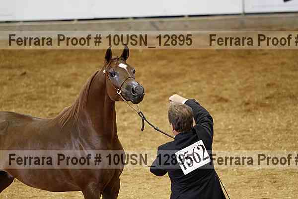 Proof 10usn_12895