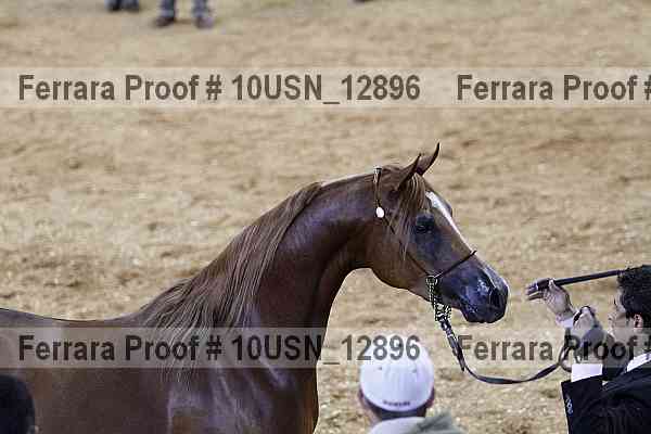 Proof 10usn_12896