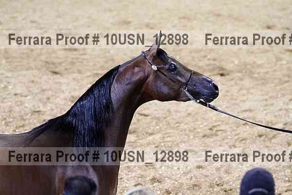 Proof 10usn_12898
