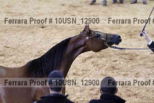 Proof 10usn_12900