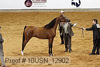 10usn_12902 proof