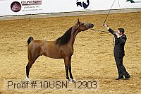 10usn_12903 proof