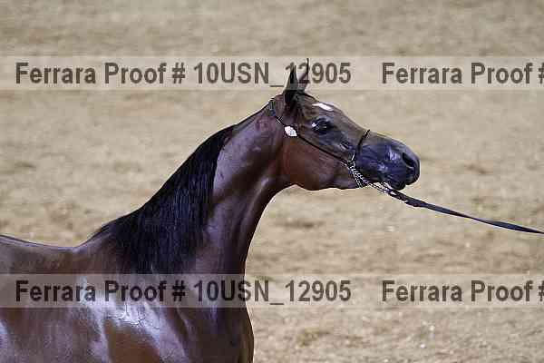 Proof 10usn_12905