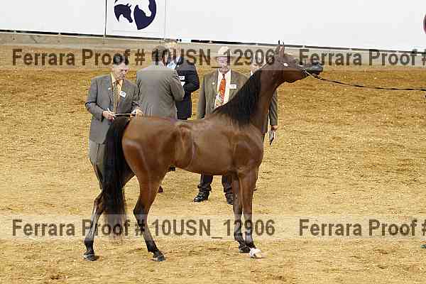 Proof 10usn_12906