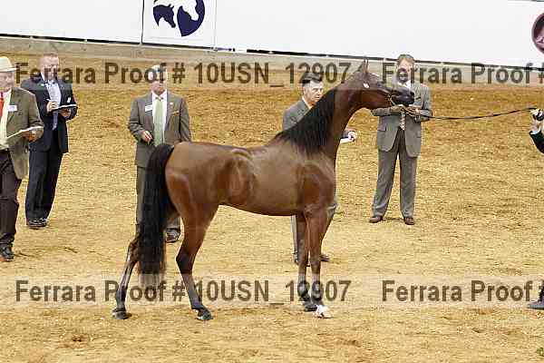 Proof 10usn_12907