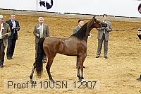 10usn_12907 proof