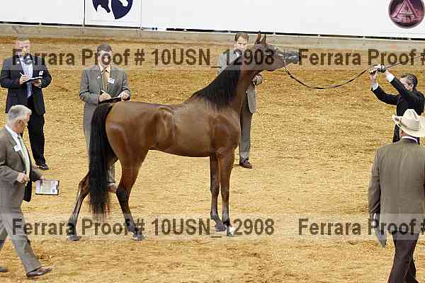 Proof 10usn_12908