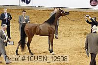 10usn_12908 proof