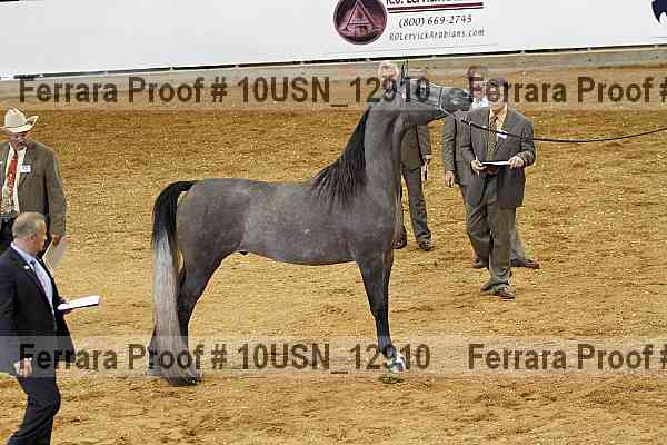 Proof 10usn_12910