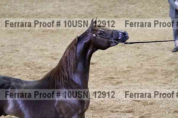 Proof 10usn_12912