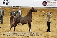 10usn_12913 proof