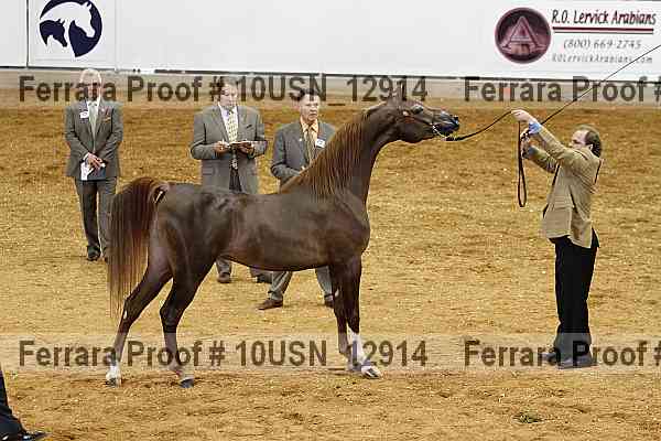Proof 10usn_12914