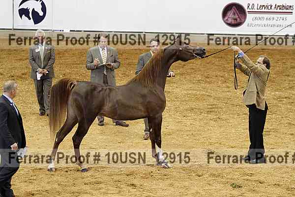Proof 10usn_12915