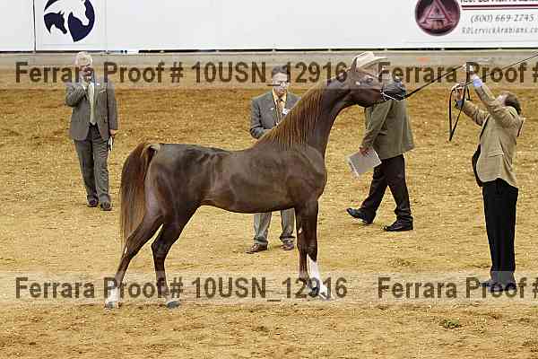 Proof 10usn_12916