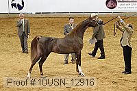 10usn_12916 proof