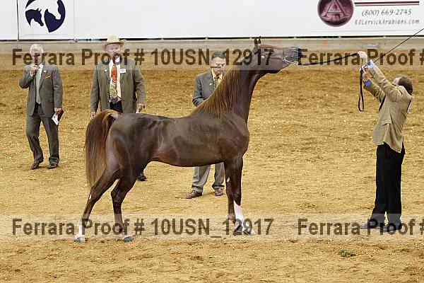 Proof 10usn_12917