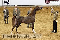 10usn_12917 proof