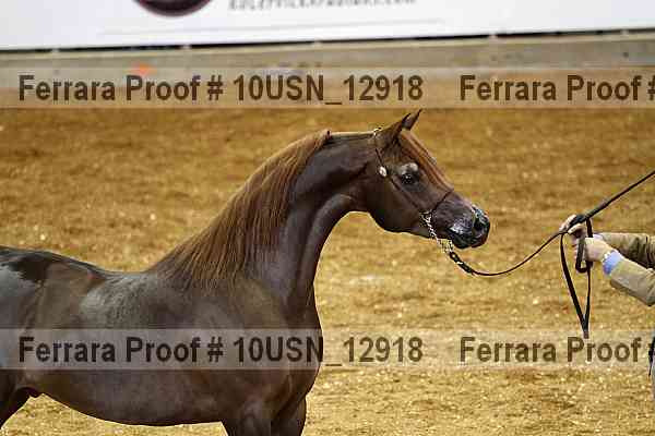 Proof 10usn_12918