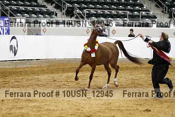 Proof 10usn_12945